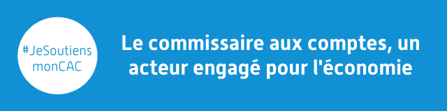 relevement seuils audit commissaire aux comptes commissariat aux comptes